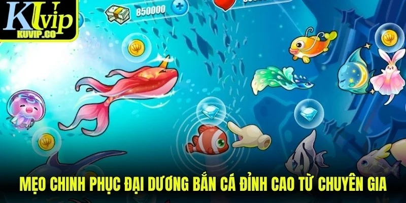 Mẹo chinh phục đại dương bắn cá đỉnh cao từ chuyên gia