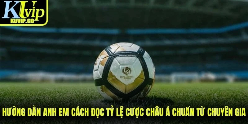 Hướng dẫn anh em cách đọc tỷ lệ cược châu Á chuẩn từ chuyên gia