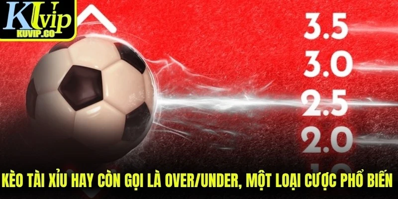 Kèo tài xỉu hay còn gọi là Over/Under, một loại cược phổ biến trong bóng đá