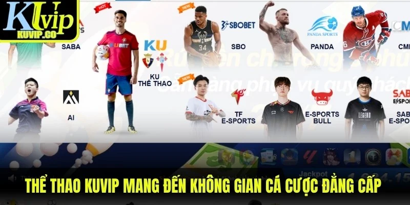 Thể thao KUVIP mang đến không gian cá cược đẳng cấp với tỷ lệ kèo hấp dẫn