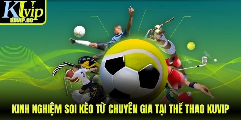 Kinh nghiệm soi kèo từ chuyên gia tại thể thao KUVIP